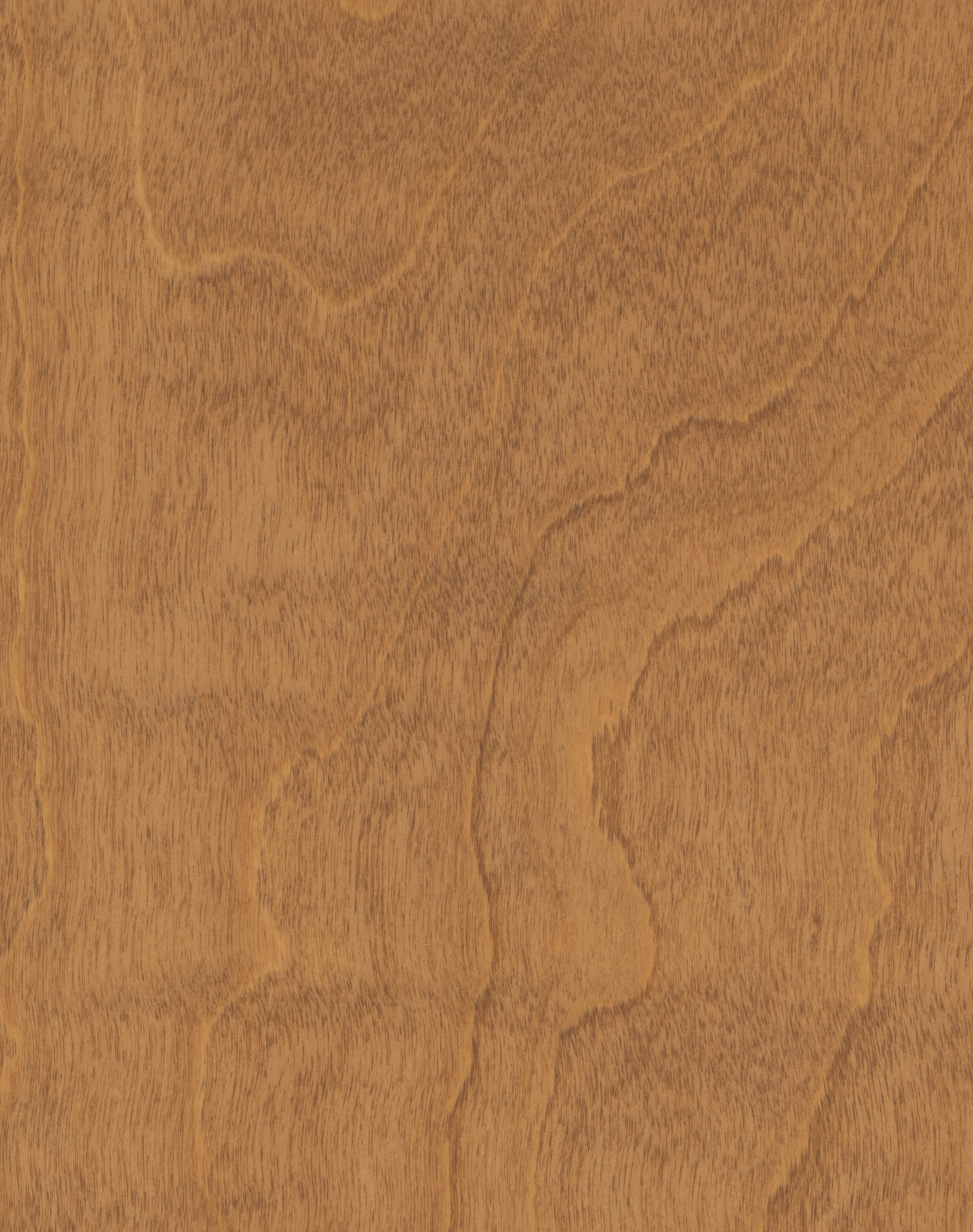 Medium Stain