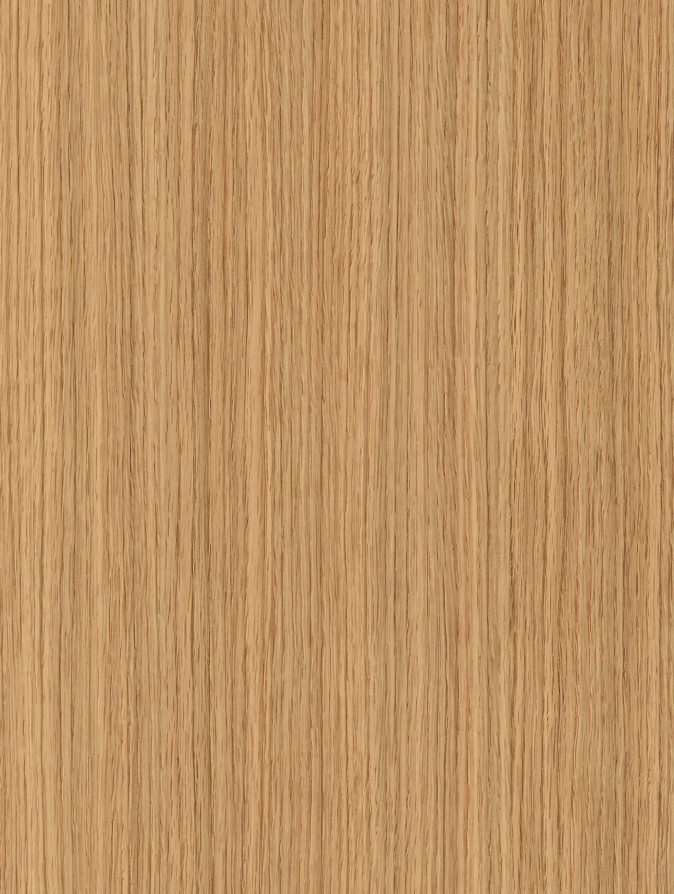 Thumbnail 28