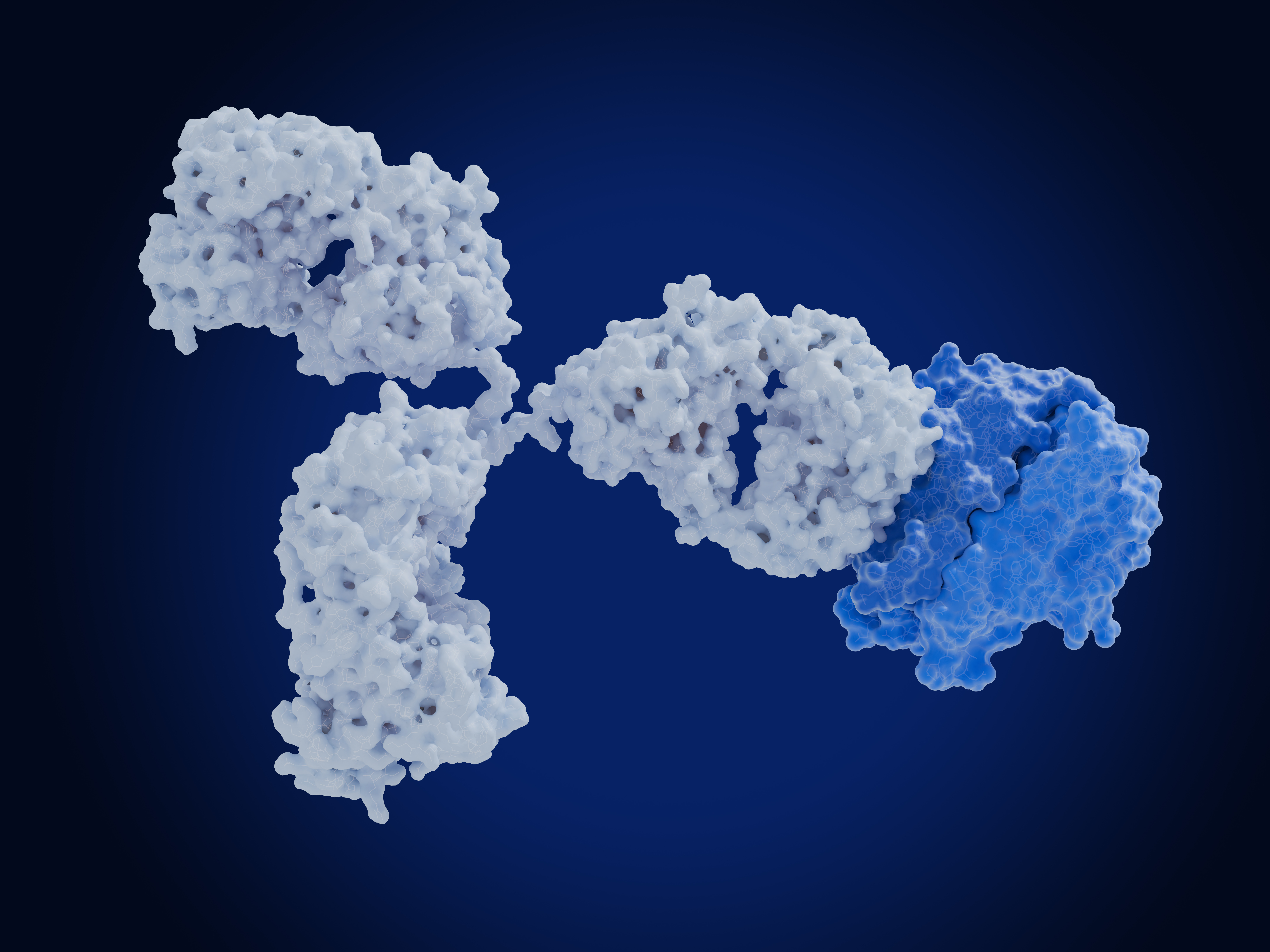 Automimmune diseases: Therapeutic antibody blocks the tumor necrosis factor alfa (TNF-α).