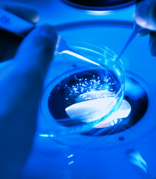 A close up of a person working in a petri dish.