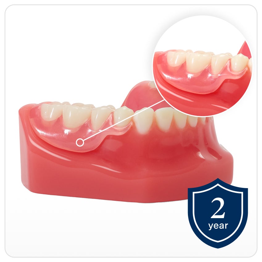 Flexilytes℠ partial dentures showcased on lower denture model, emphasizing tooth replacement on natural gums. A shield icon on the bottom right has text that reads "2 year" indicating the warranty.