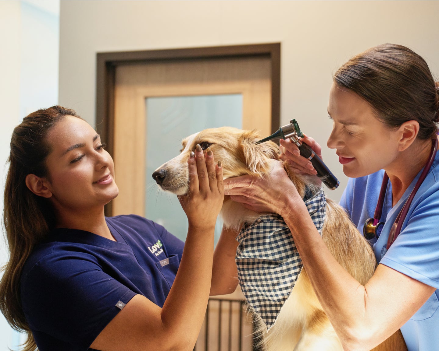 Lovet veterinarian and vet tech examining dog at Lovet hospital.