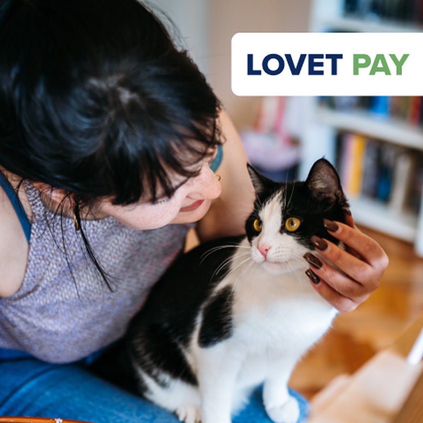 Lovet Pay graphic with woman smiling and holding her cat.