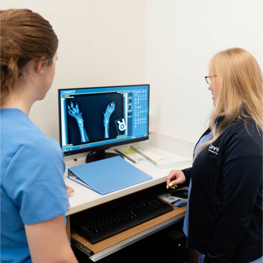 A Lovet vet and a tech look at an X-ray image on a monitor.