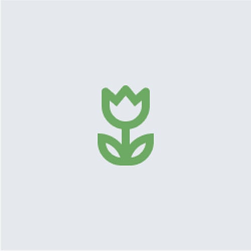 Tulip graphic element.