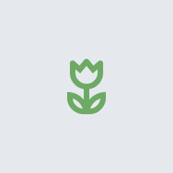 A green icon of a flower with leaves on a white background