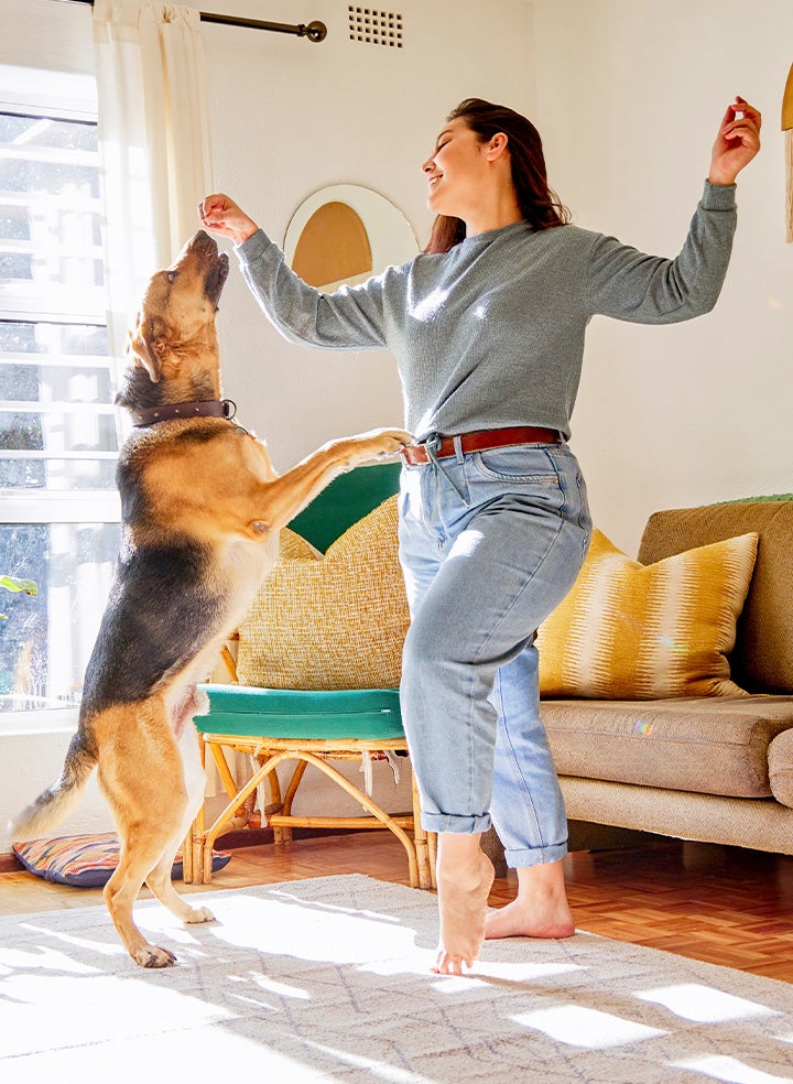 A woman dancing with a mid-sized brown and black dog in a sunny living room.