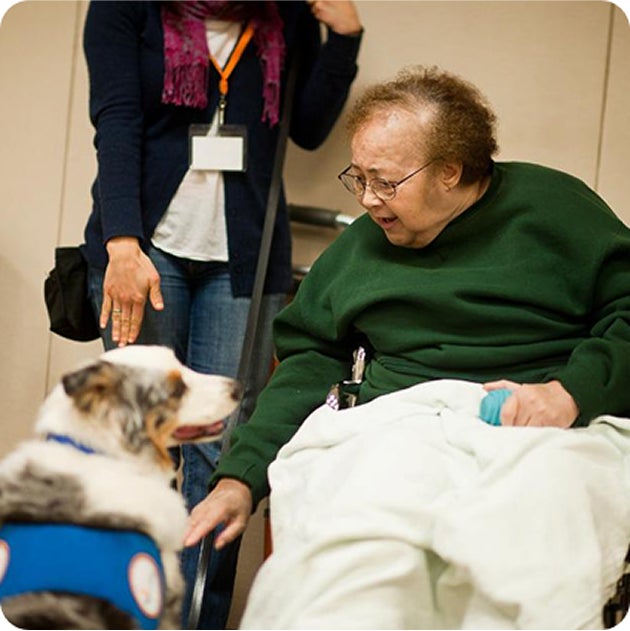 Woman pets a therapy dog from Canine Therapy Corps.