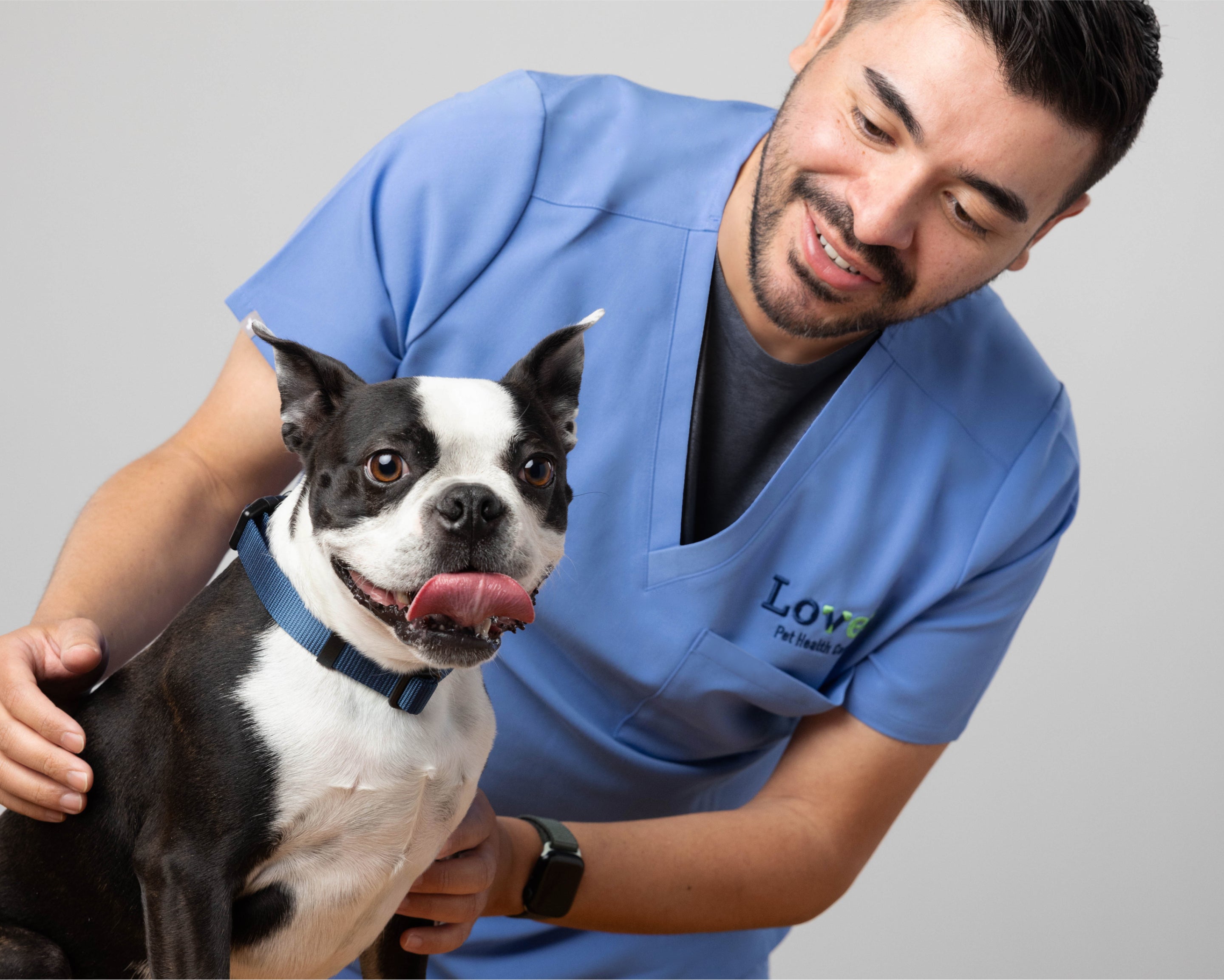 A smiling Lovet veterinarian in blue scrubs holds a medium sized black and white dog. In the corner of the image, there is an illustration that says First Exam Free.