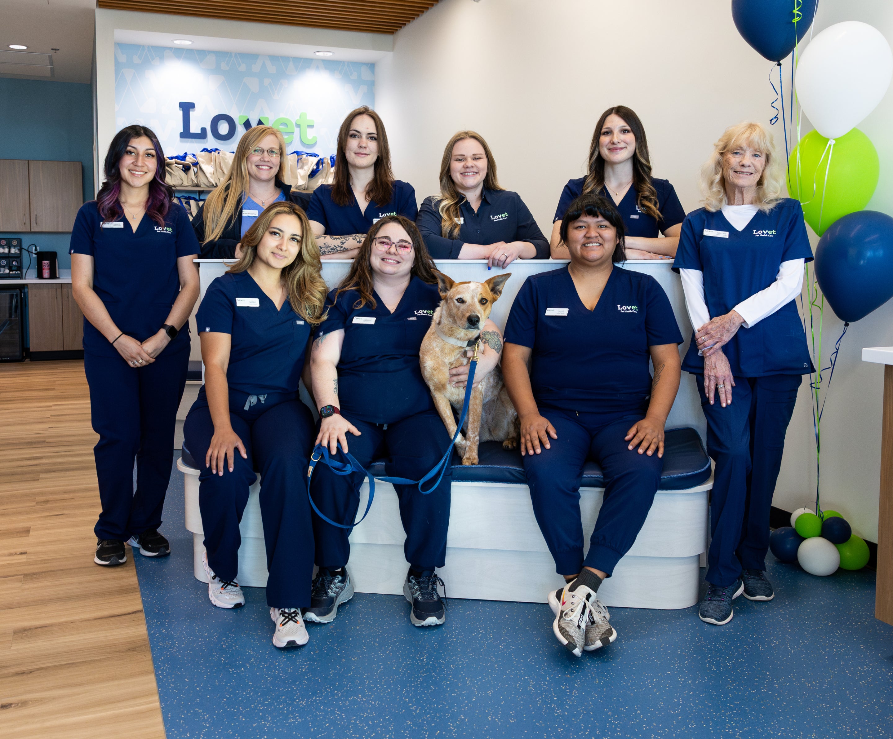 A Lovet team posing with a red heeler at a hospital grand opening.