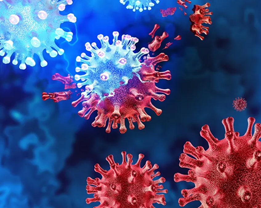 A digital illustration of virus cells.