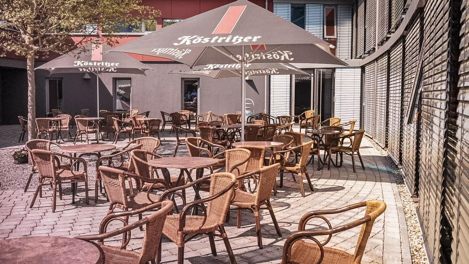 Heidelberg Summer Camp School Outside