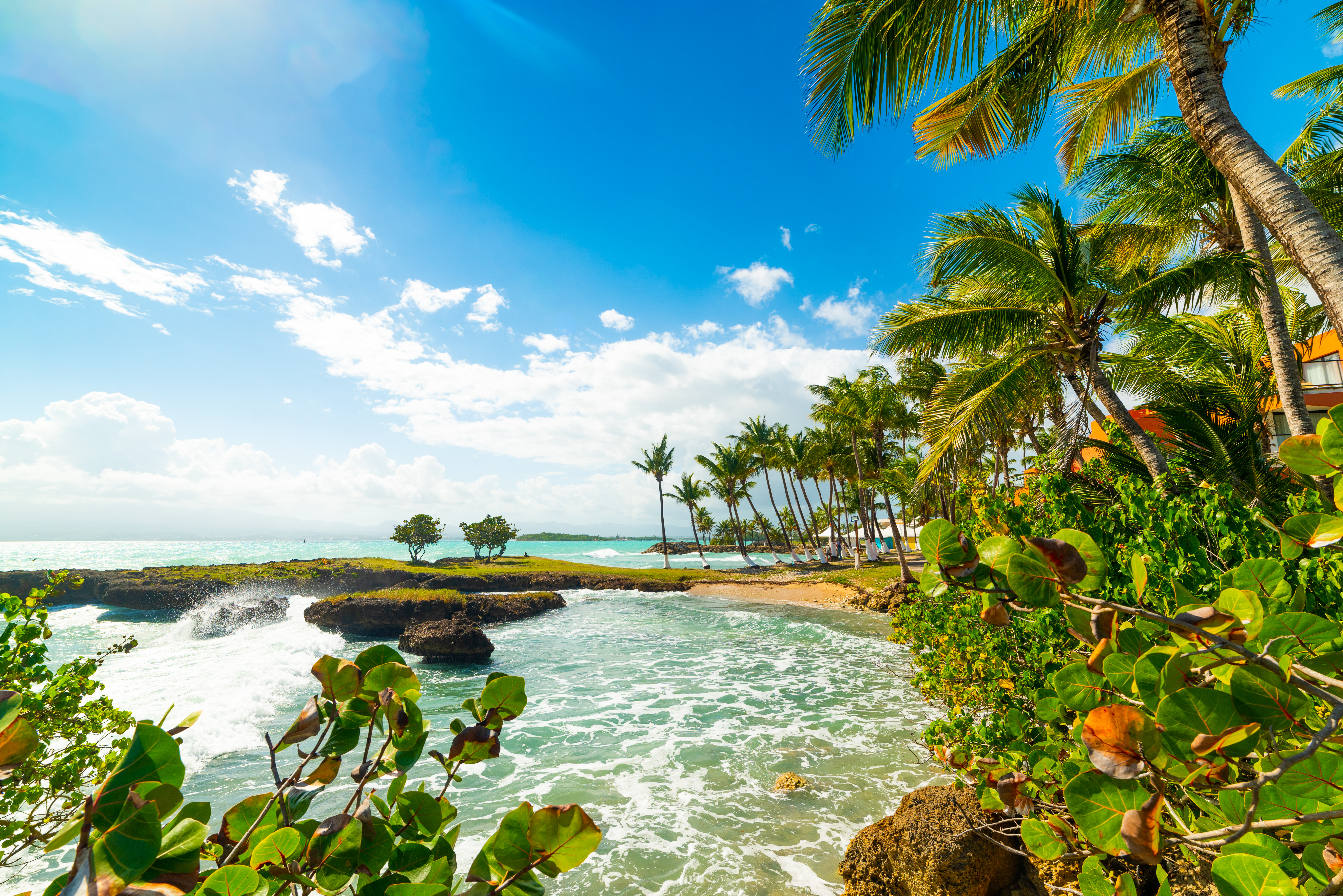 Gosier shore in Guadeloupe with its coastline with crystal-clear turquoise waters, sandy beaches, and lush palm trees.