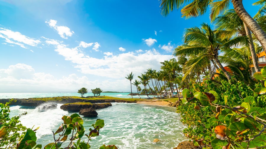 Gosier shore in Guadeloupe with its coastline with crystal-clear turquoise waters, sandy beaches, and lush palm trees.