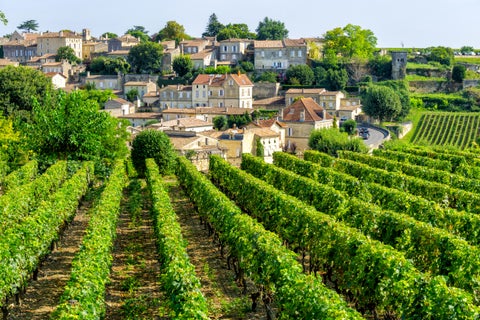 Vineyards next to city center of Bordeaux, France
