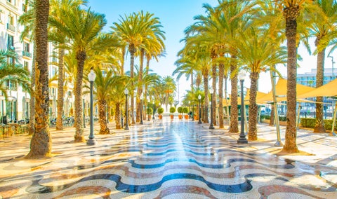 Scenic path lined with palm trees and decorative tiled sidewalk in the city center of Alicante, Spain