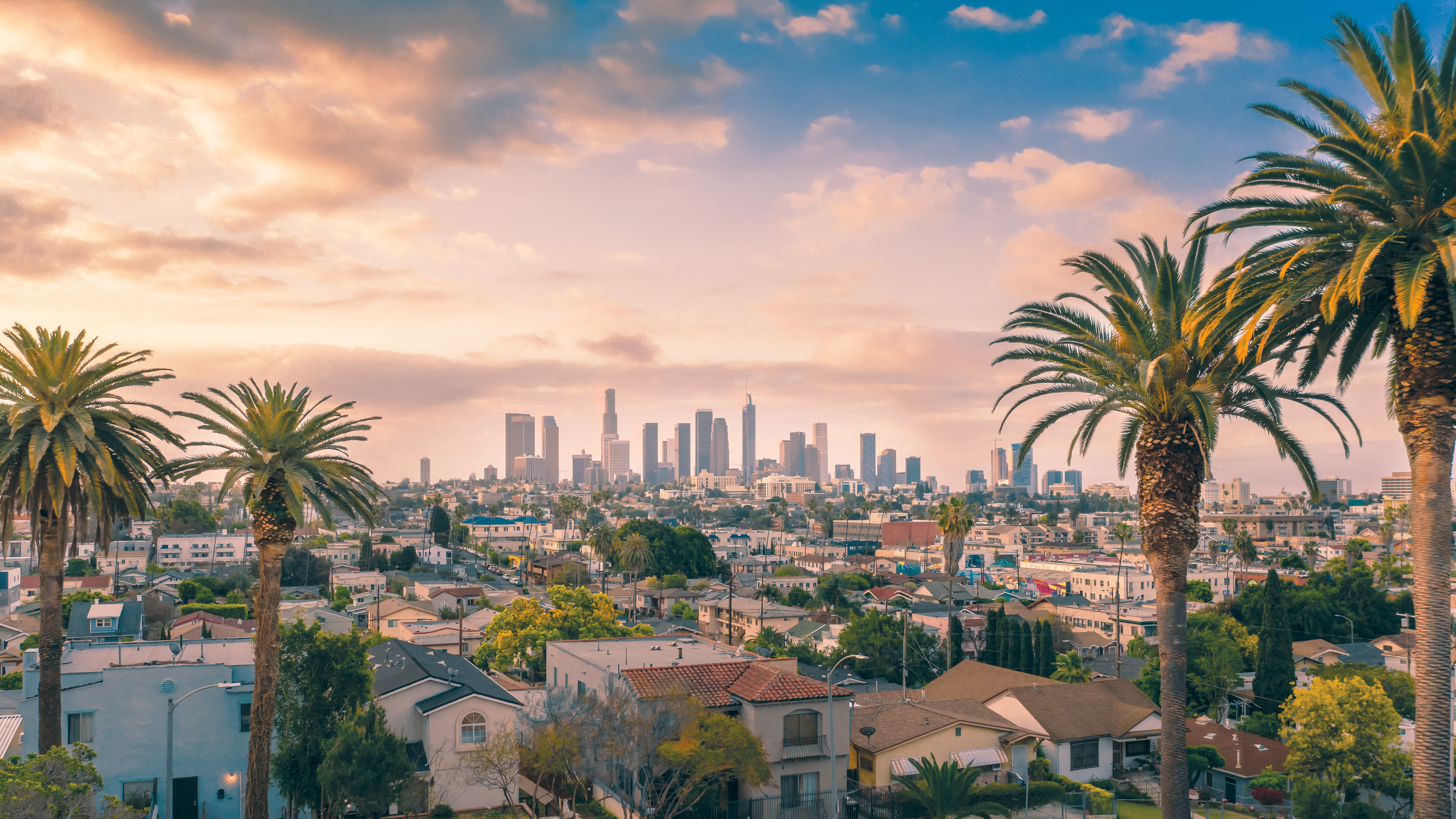 Los Angeles skyline with palm trees and residential houses in the foreground, skyscrapers visible in the background
