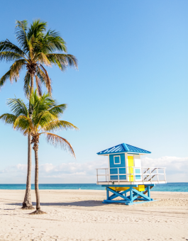 Colorful blue and yellow lifeguard station on beach with palm trees and blue sky copy space