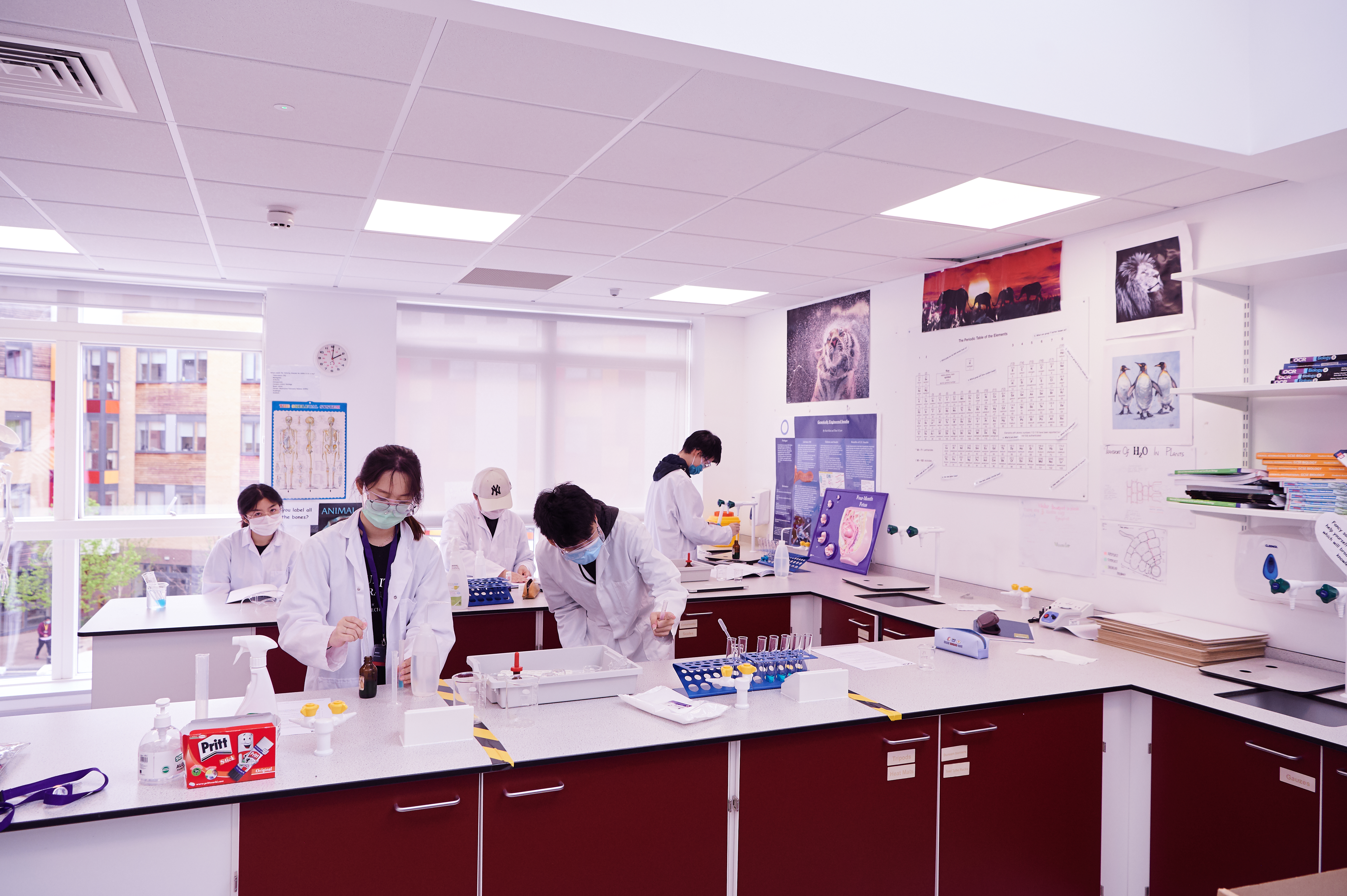 Lab in Cambridge Summer Programme