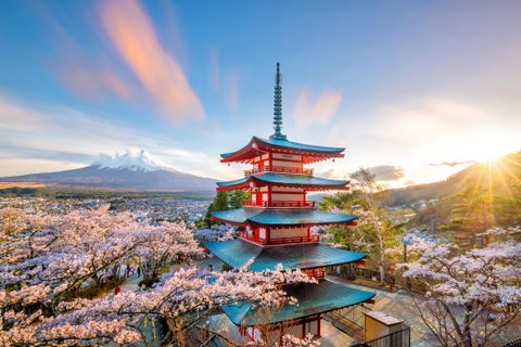Mountain Fuji and Chureito red pagoda with cherry blossom sakura, Japan