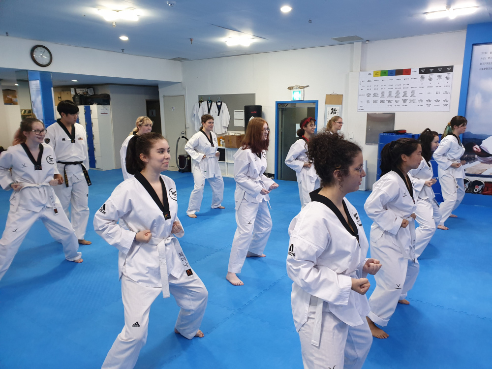 A group of students practising taekwondo