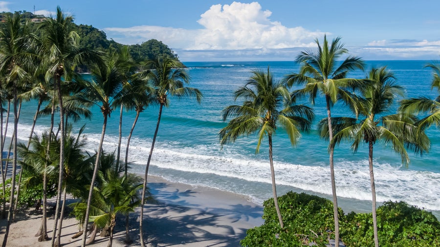 Tropical white-sand beach with palm trees and vibrant blue ocean in Playa Jacó, Costa Rica
