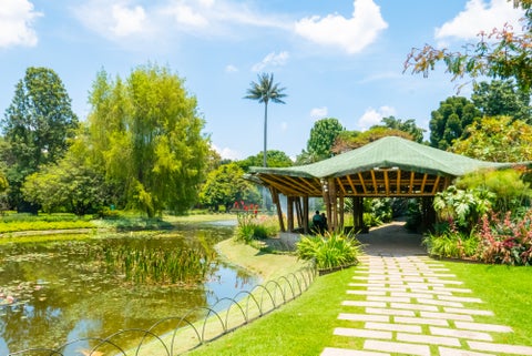A serene pond in Bogotá with a charming gazebo surrounded by lush tropical plants