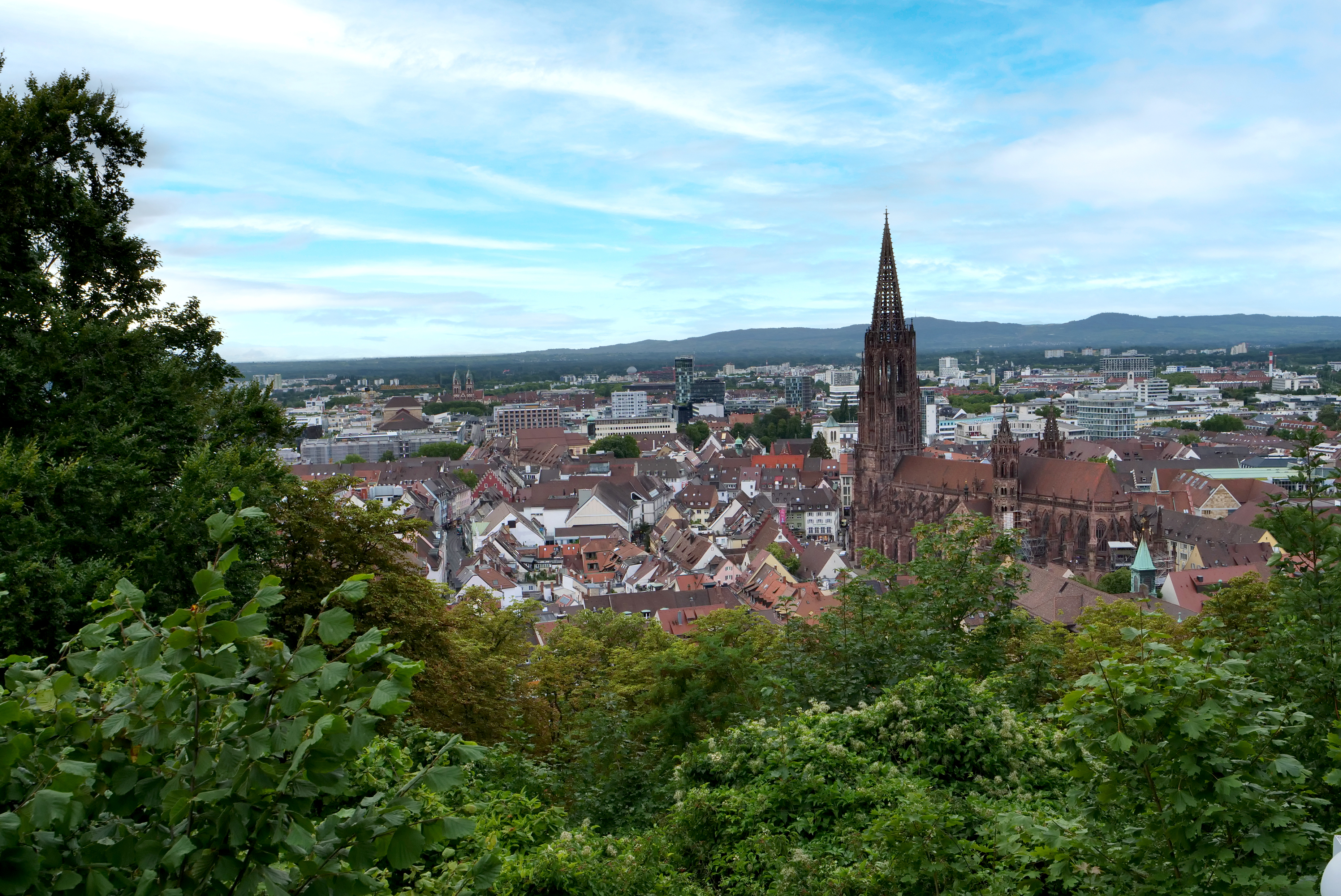 Aerial view of Freiburg Cathedral (Münster) with surrounding historic city center and rooftops