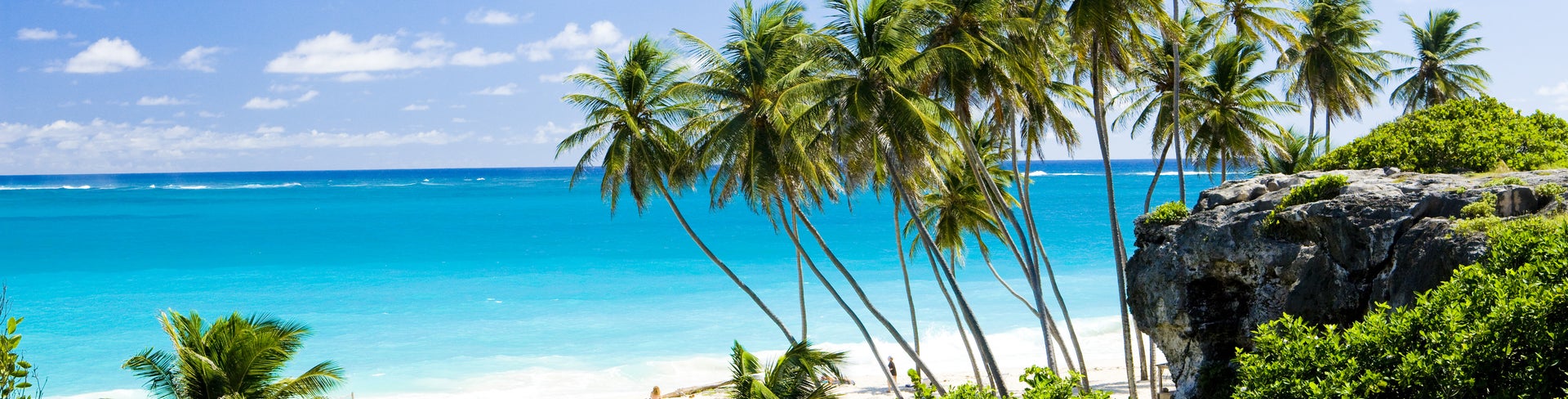 Bottom Bay Paradise beach on the Caribbean island of Barbados, with palms hanging over turquoise sea