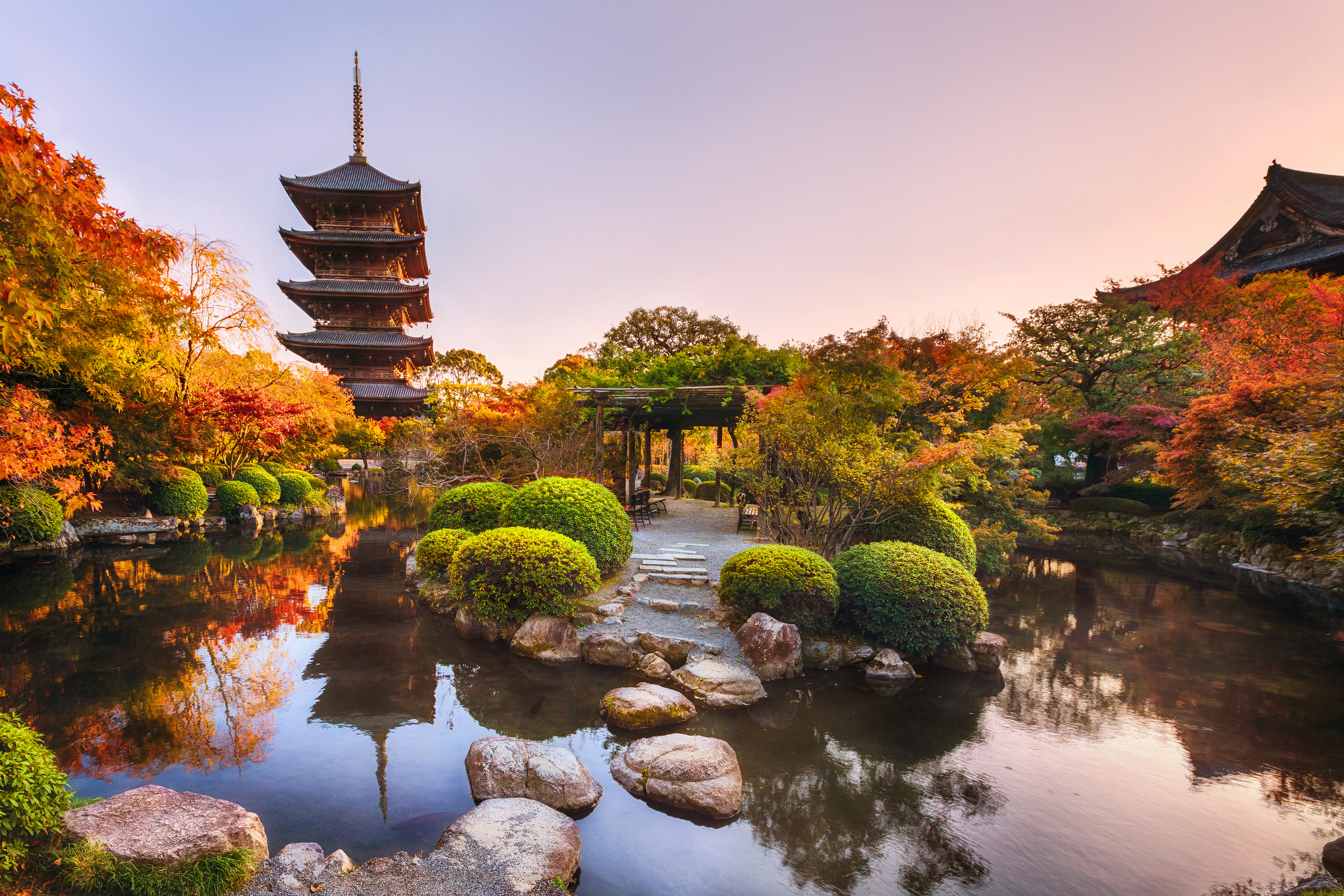 The five-story pagoda with ancient wooden pagoda at Toji Temple in Kyoto captures a serene autumn scene