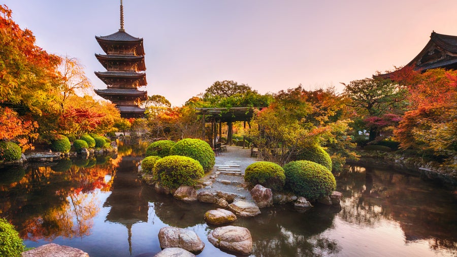 The five-story pagoda with ancient wooden pagoda at Toji Temple in Kyoto captures a serene autumn scene
