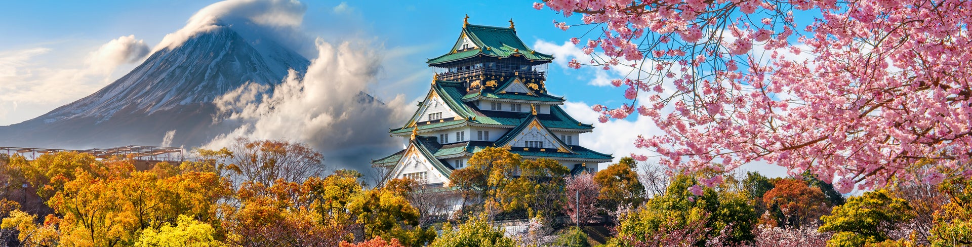 Osaka Castle and full cherry blossom, with Fuji mountain background, Japan