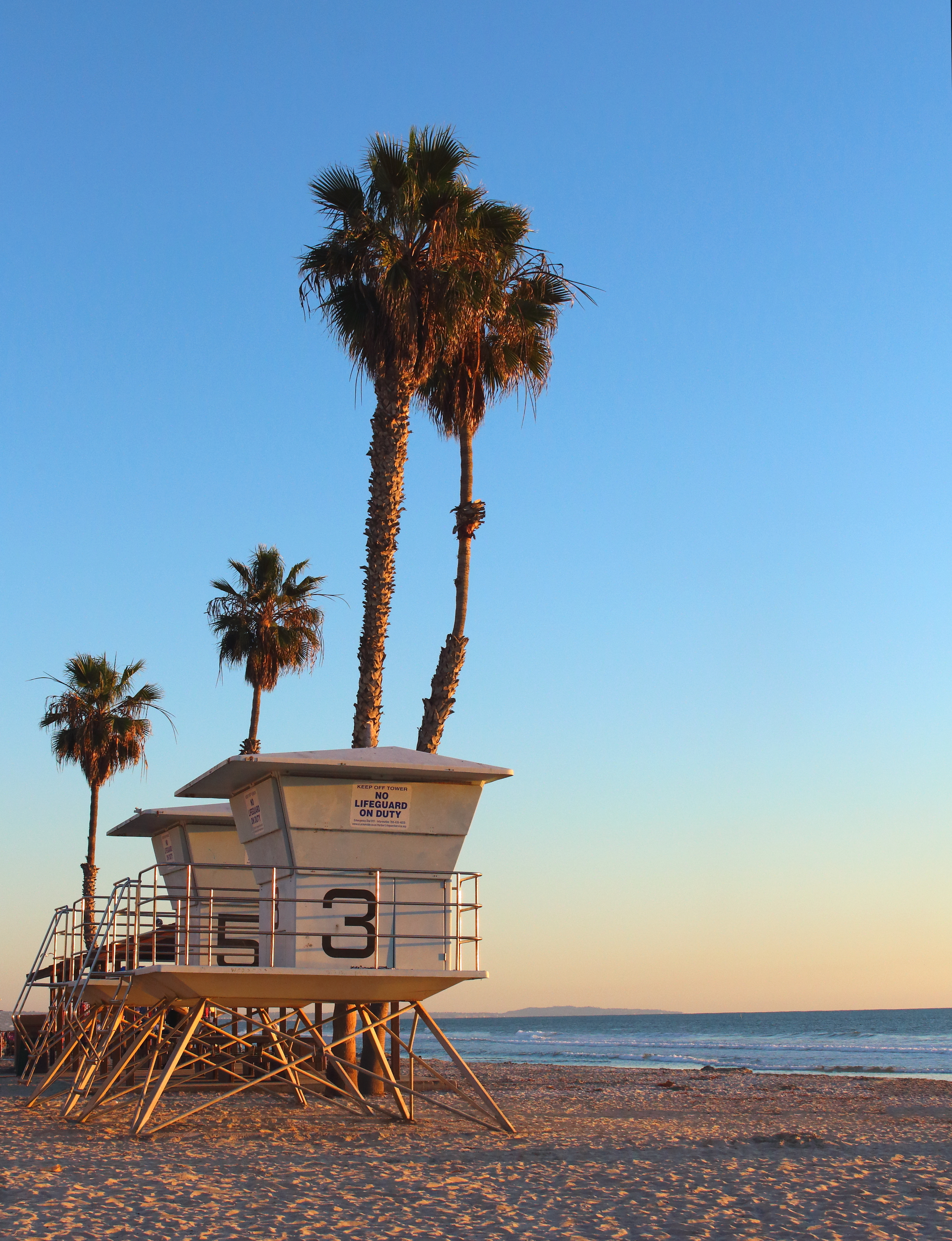 Venice Beach Pier in California extending into the ocean with beachgoers and waves