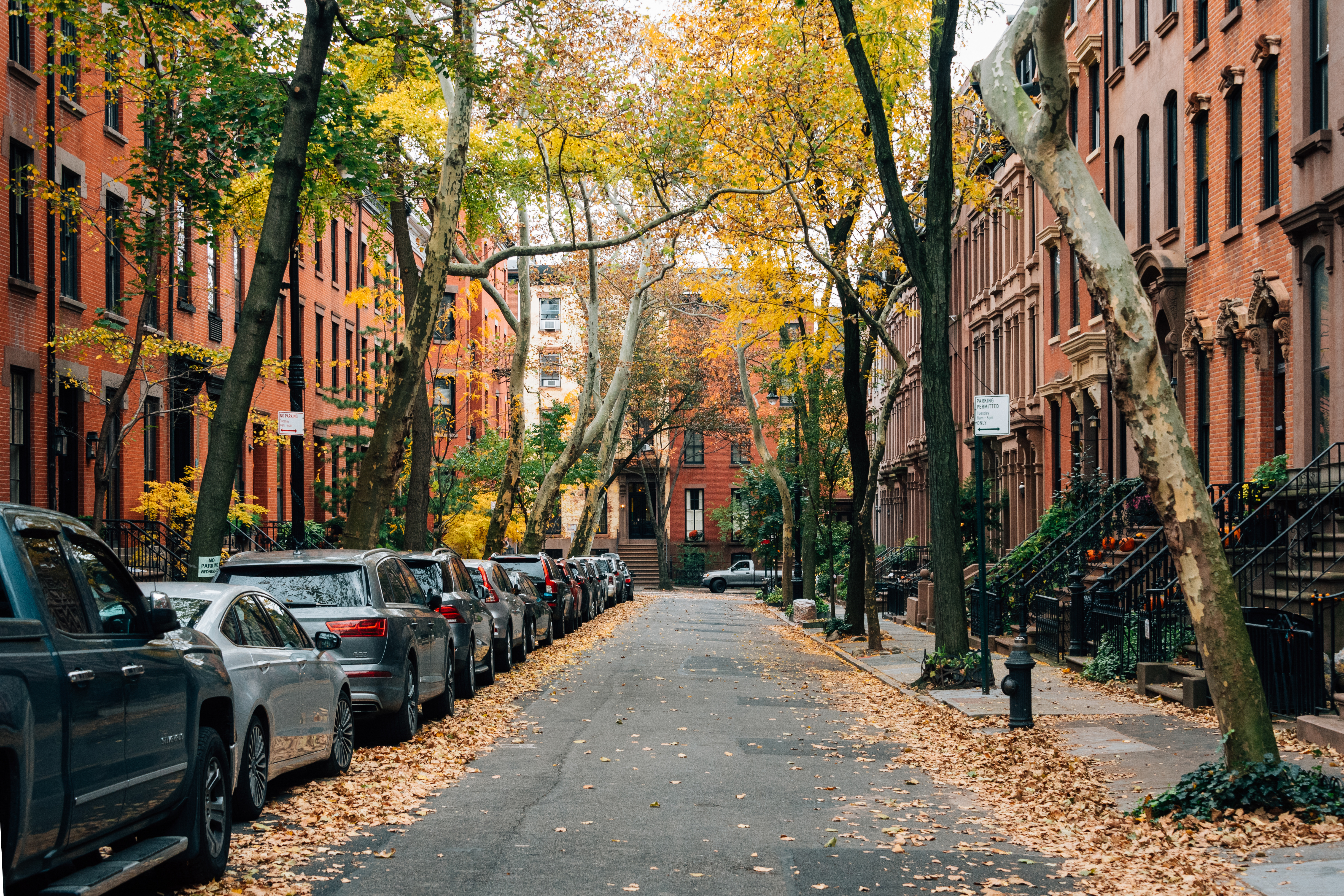 Brownstones and fall color in Brooklyn Heights, New York City, Manhattan