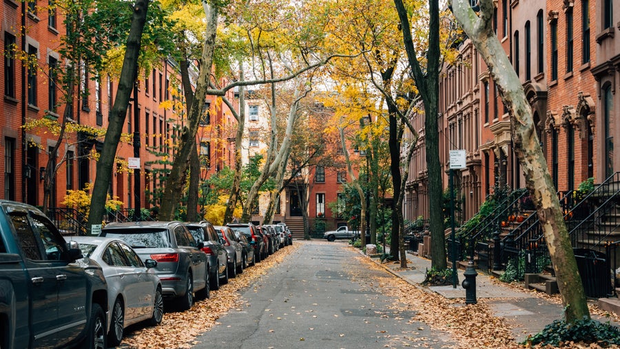 Brownstones and fall color in Brooklyn Heights, New York City, Manhattan