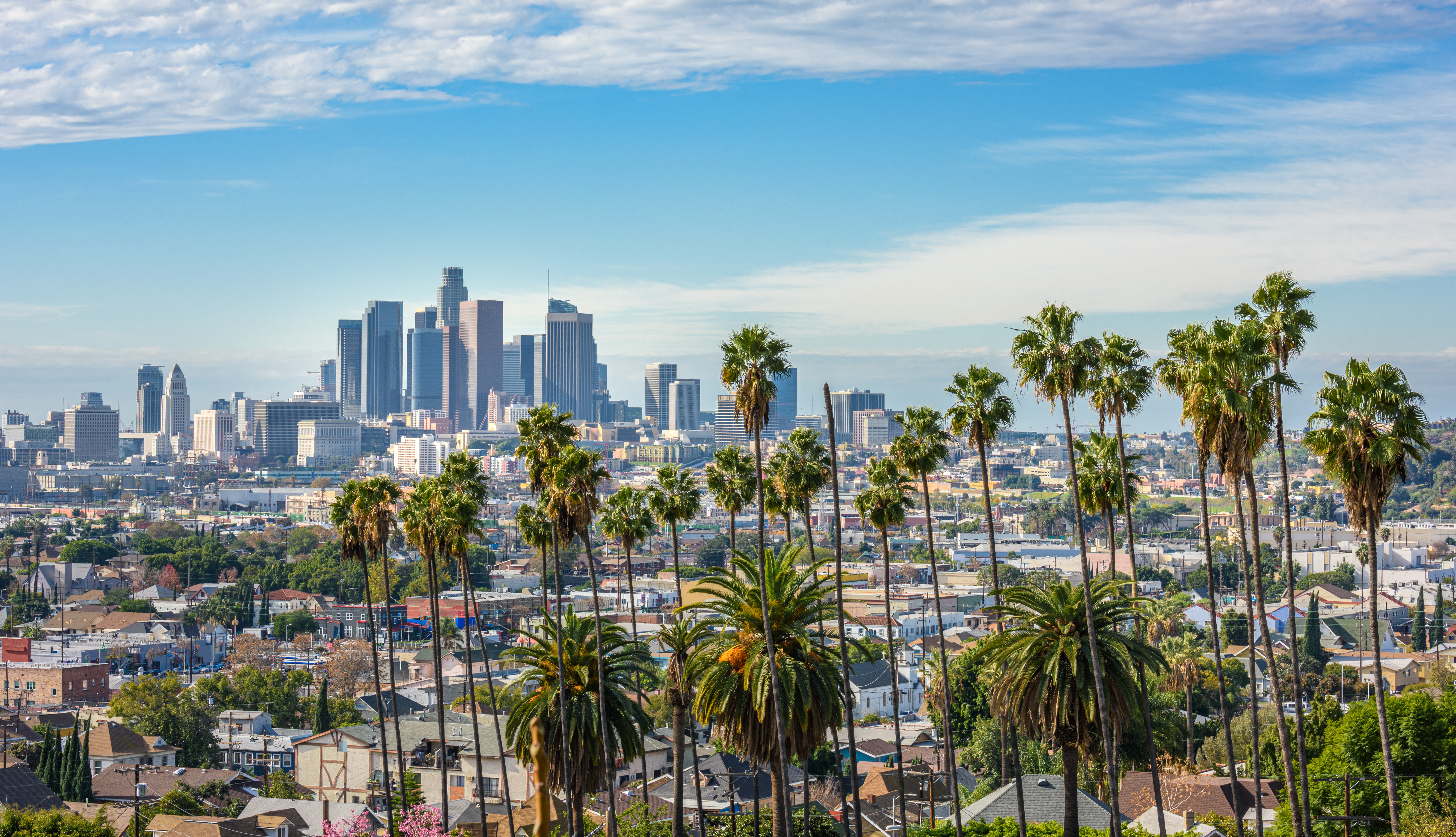 Los Angeles city skyline with palm trees and houses in front, skyscrapers visible in the background under clear skies