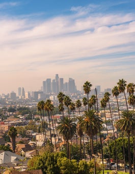 Los Angeles skyline at sunset with palm trees in the foreground