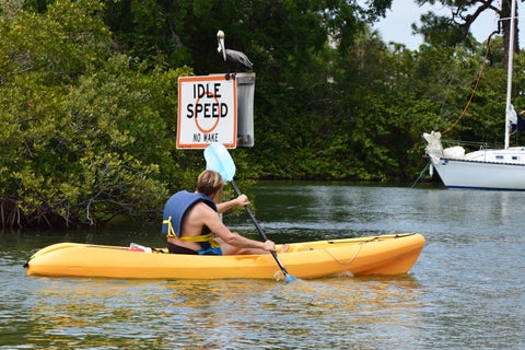 Tourist kayaking through the calm, tree-lined waters of Coffee Pot Bayou in St. Petersburg, Florida