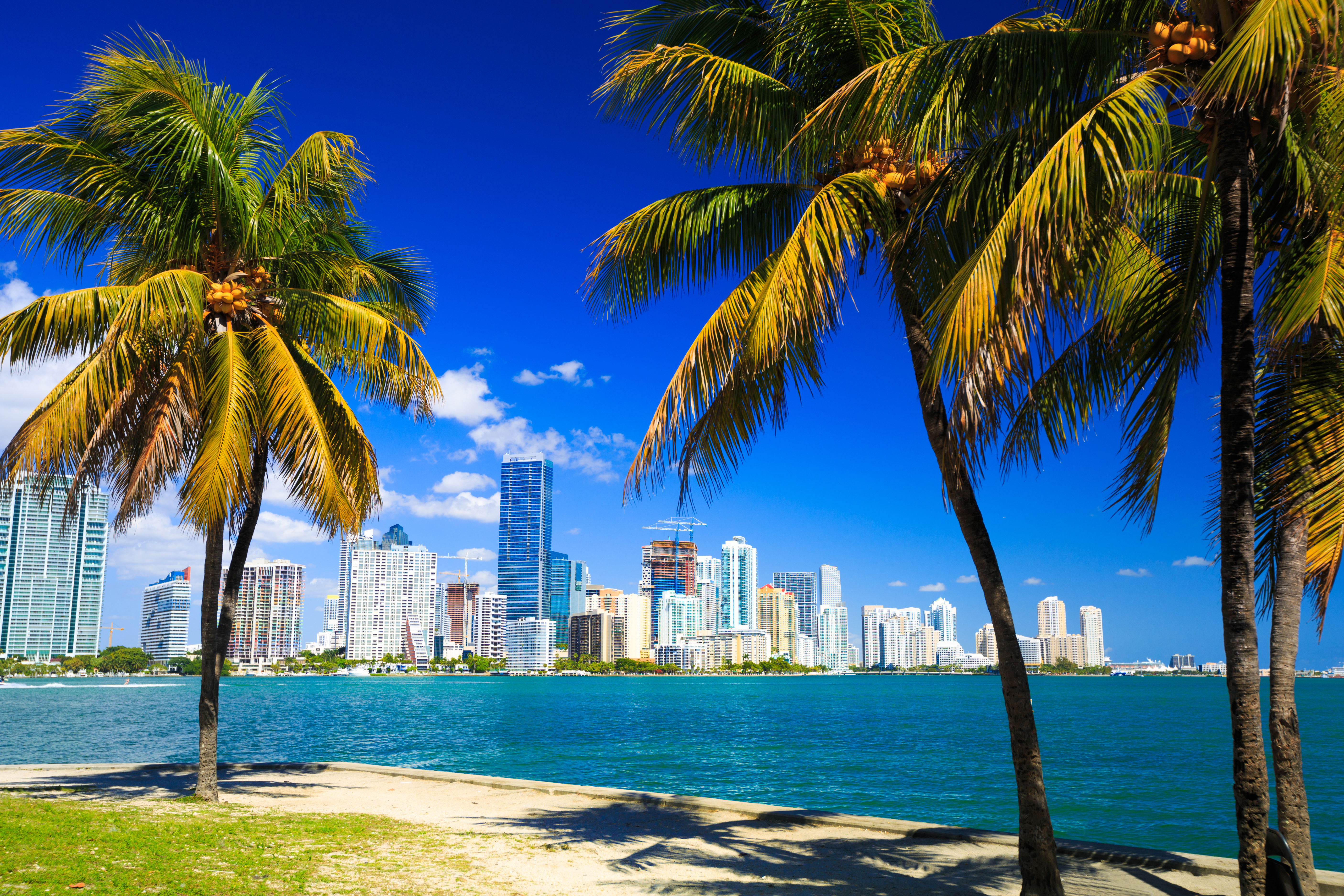 Miami Florida skyline with downtown skyscrapers and coastal view