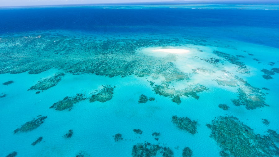 Coral sand cay in Cairns Australia