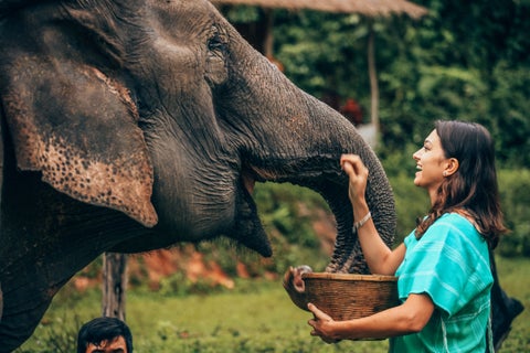 Tourist interacting with an elephant at a sanctuary in Phuket, Thailand
