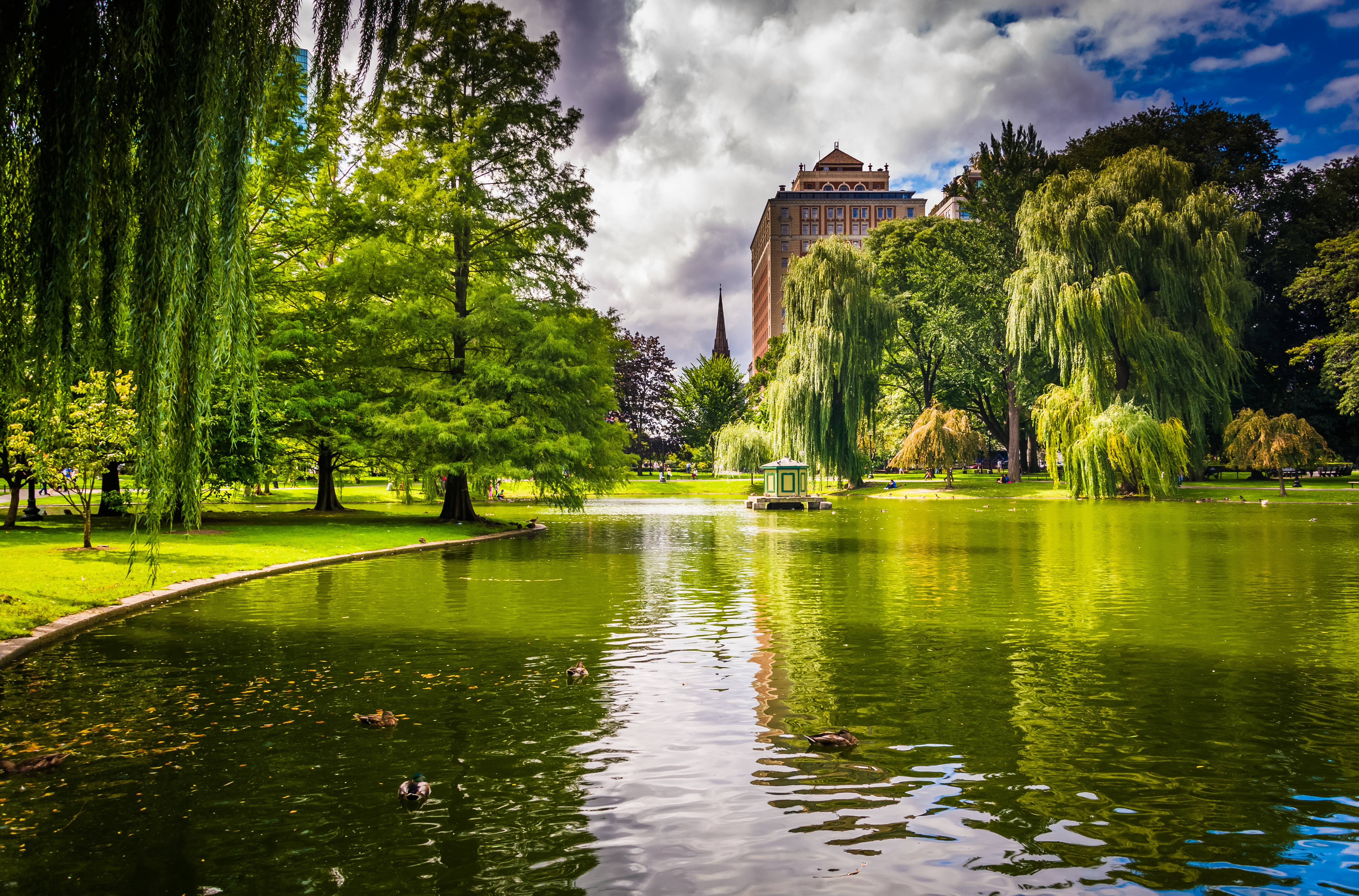 Boston Public Garden lagoon with surrounding trees and greenery in a scenic city park setting