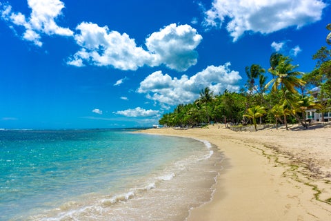 Tropical white-sand beach with crystal blue ocean and palm trees in Sosua, Dominican Republic
