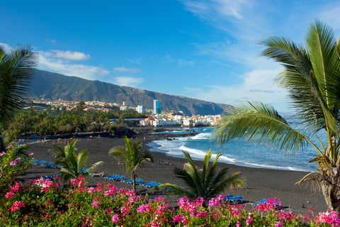 Playa de Las Teresitas beach in Tenerife, Spain, with colorful flowers in the foreground and the Anaga Mountains in the background