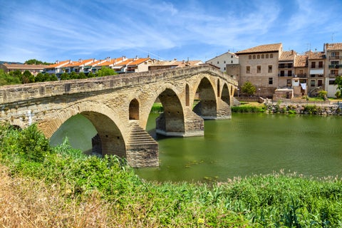 Puente de la Magdalena, a historic medieval stone bridge in Pamplona, Spain, surrounded by trees with old city buildings in the background