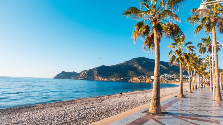 palm-lined promenade with a tiled sidewalk in Alicante, Spain, running alongside El Postiguet Beach with Mount Benacantil and Santa Bárbara Castle in the background