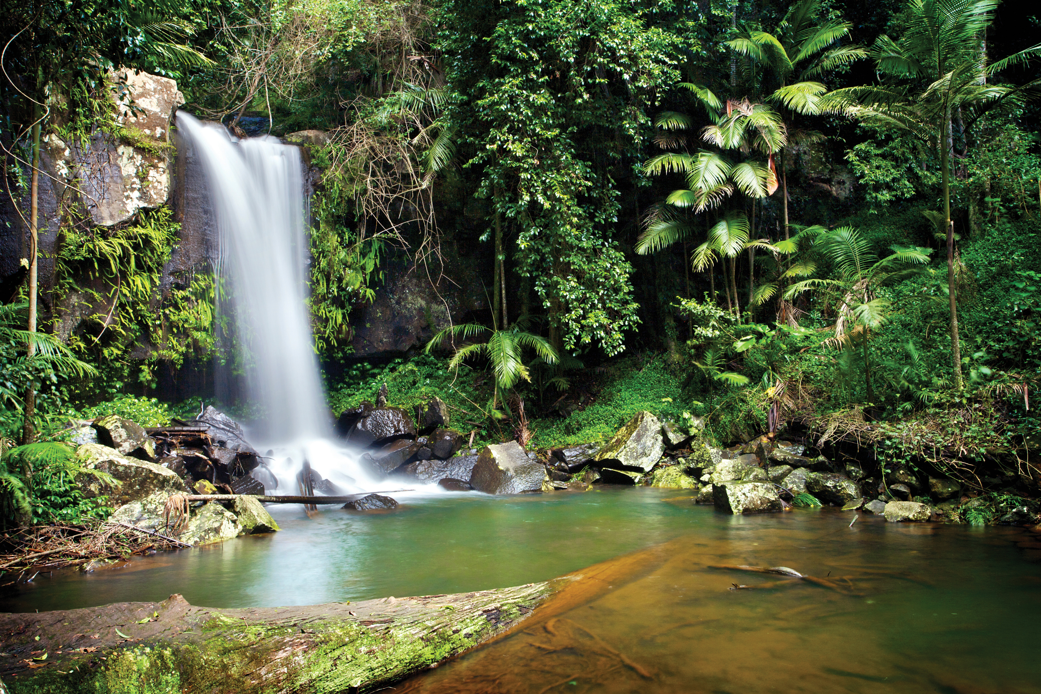 Waterfall in Gold Coast, Australia