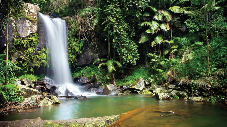 Waterfall in Gold Coast, Australia