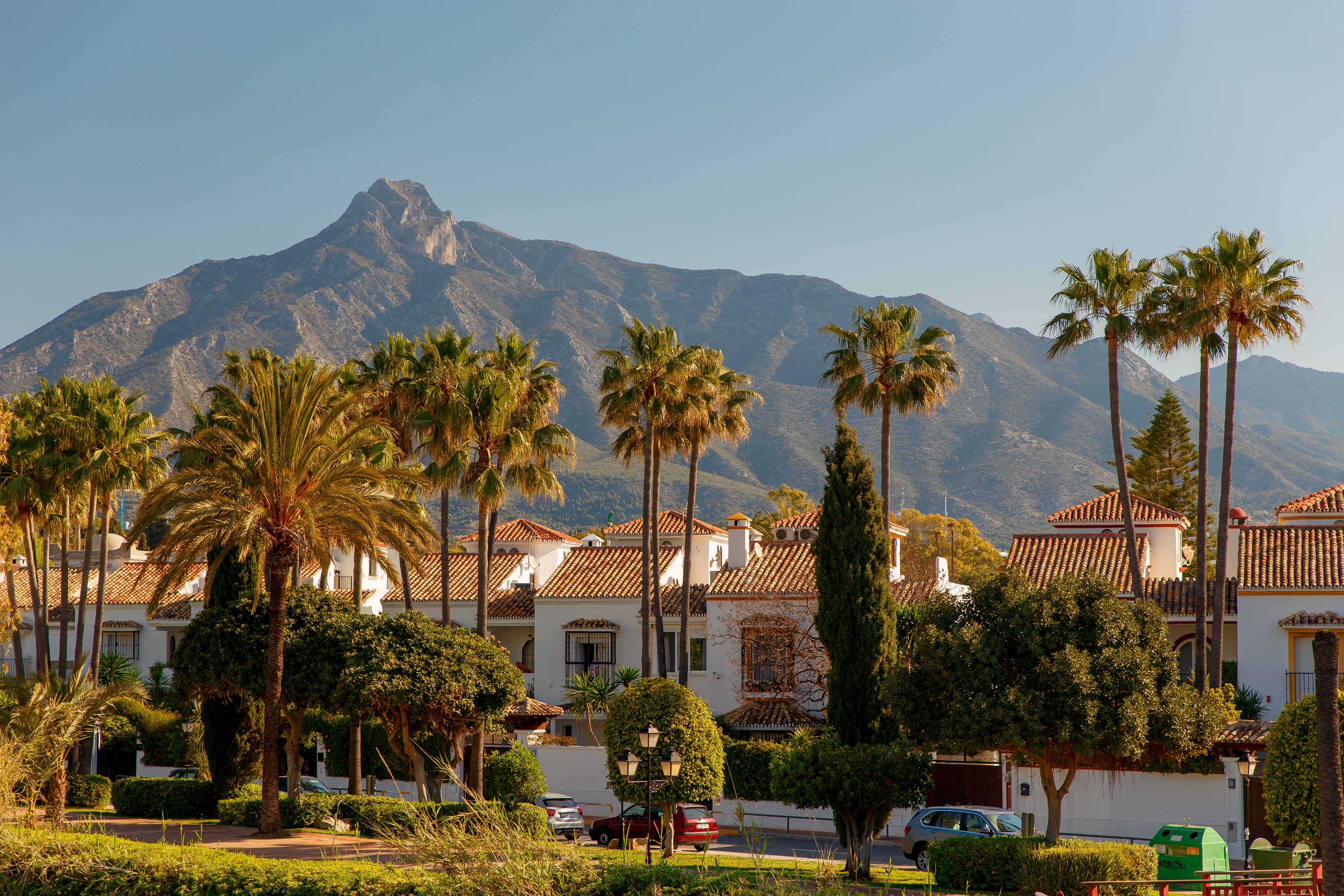 Palm trees with white houses and the Sierra Blanca mountains in the background in Marbella, Spain