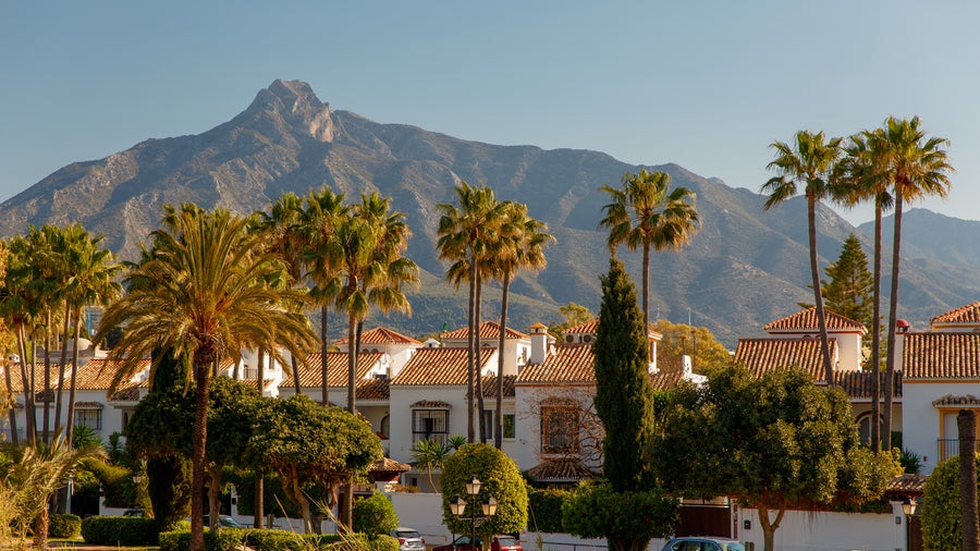 Palm trees with white houses and the Sierra Blanca mountains in the background in Marbella, Spain